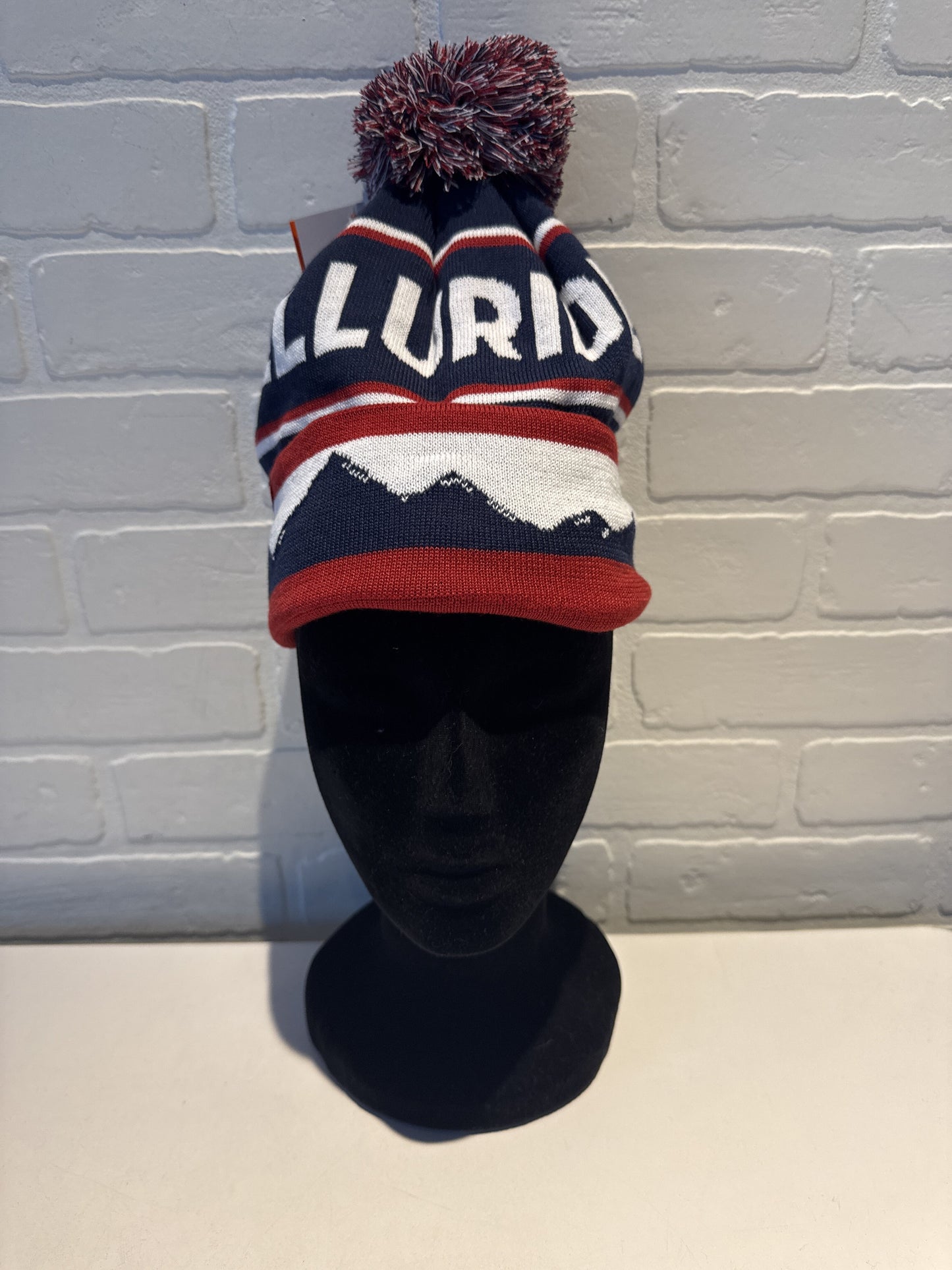 Hat Beanie By Clothes Mentor