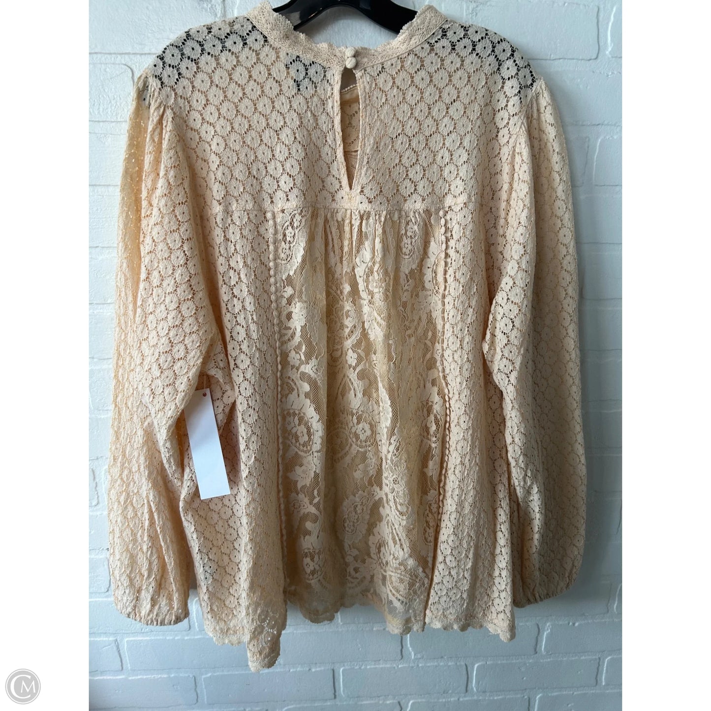 Top Long Sleeve By Torrid In Tan, Size: 4x