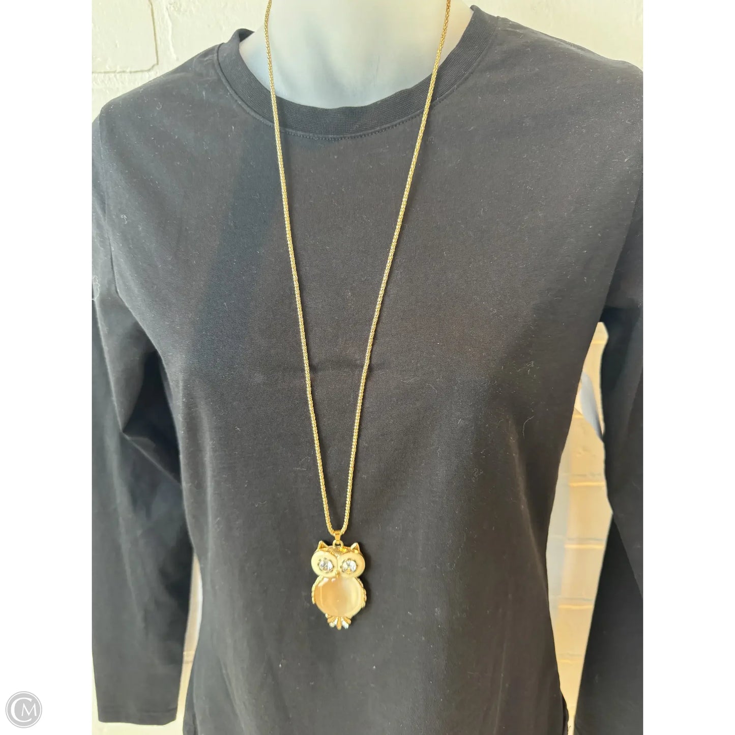 Necklace Pendant By Clothes Mentor