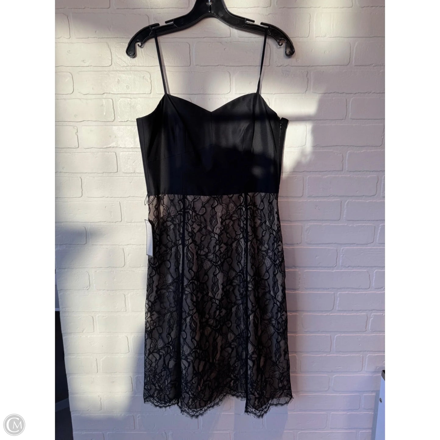 Dress Casual Short By Ann Taylor In Black & Cream, Size: S