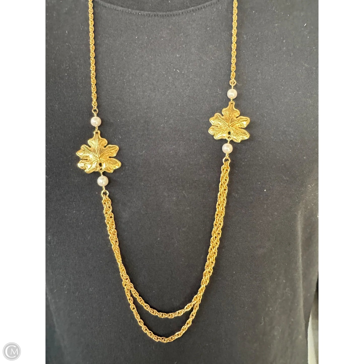 Necklace Chain By Clothes Mentor
