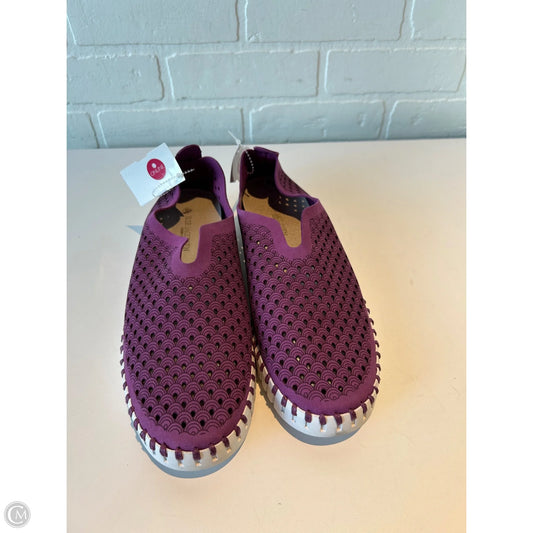 Shoes Flats By ISLE JACOBSEN In Purple & White, Size: 9.5