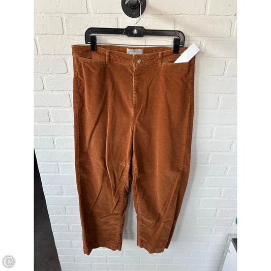 Pants Corduroy By Evereve In Brown, Size: 16