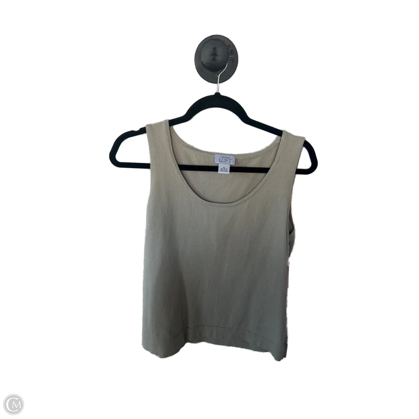 Top Sleeveless By Ann Taylor In Tan, Size: Xl