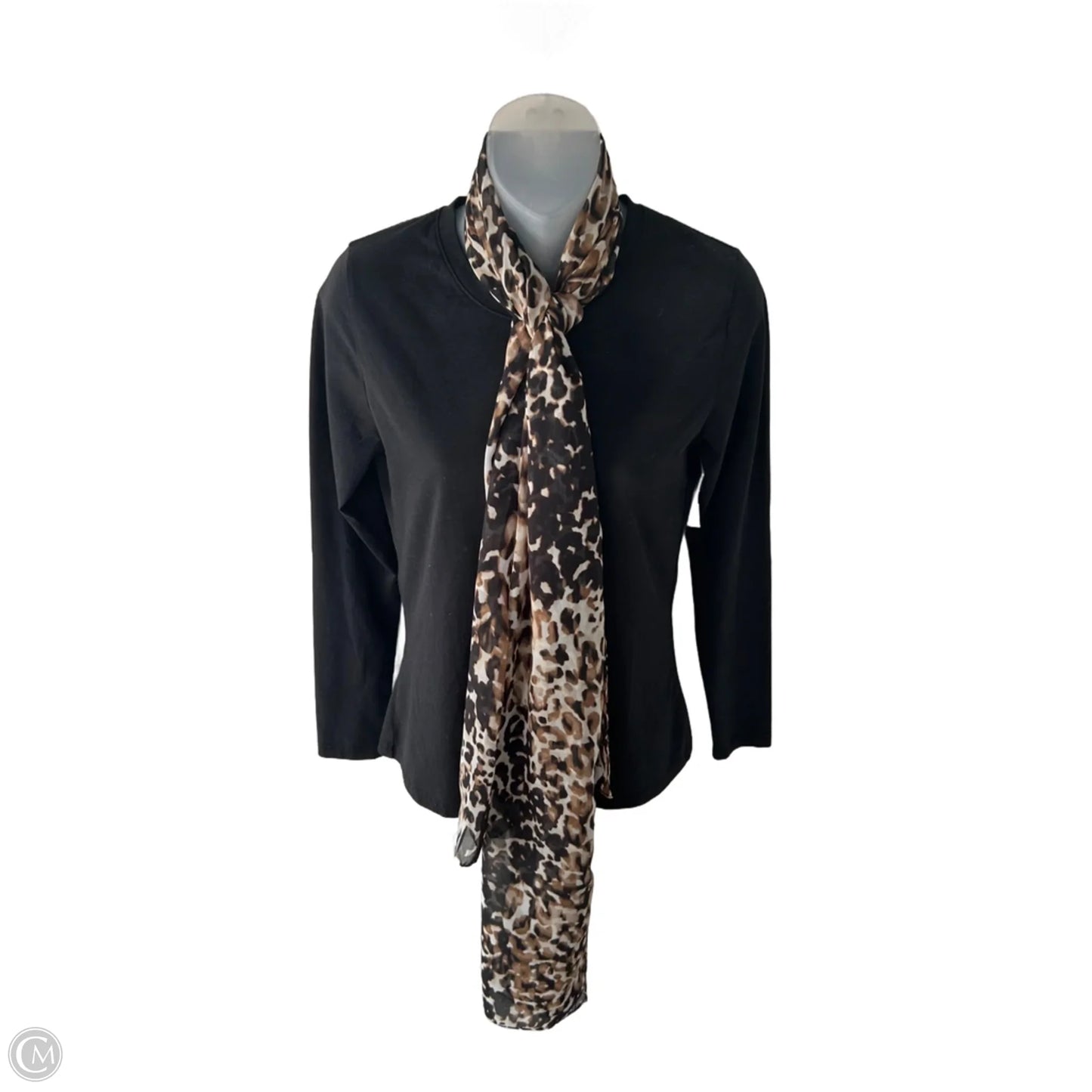 Scarf Long By Clothes Mentor