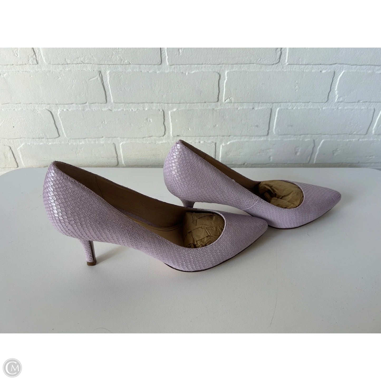 Shoes Heels Stiletto By Cole-haan In purple Size: 11