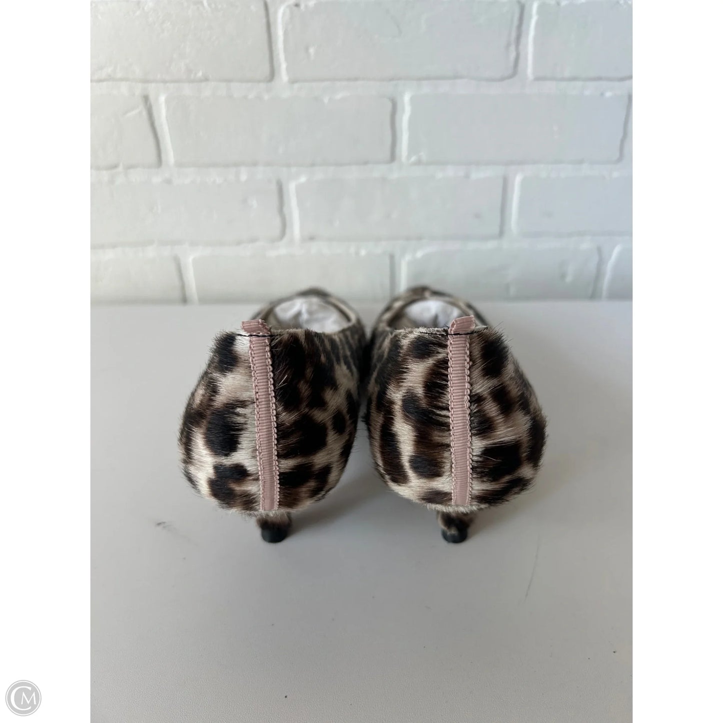 Shoes Heels Kitten By Boden In Animal Print, Size: 10.5