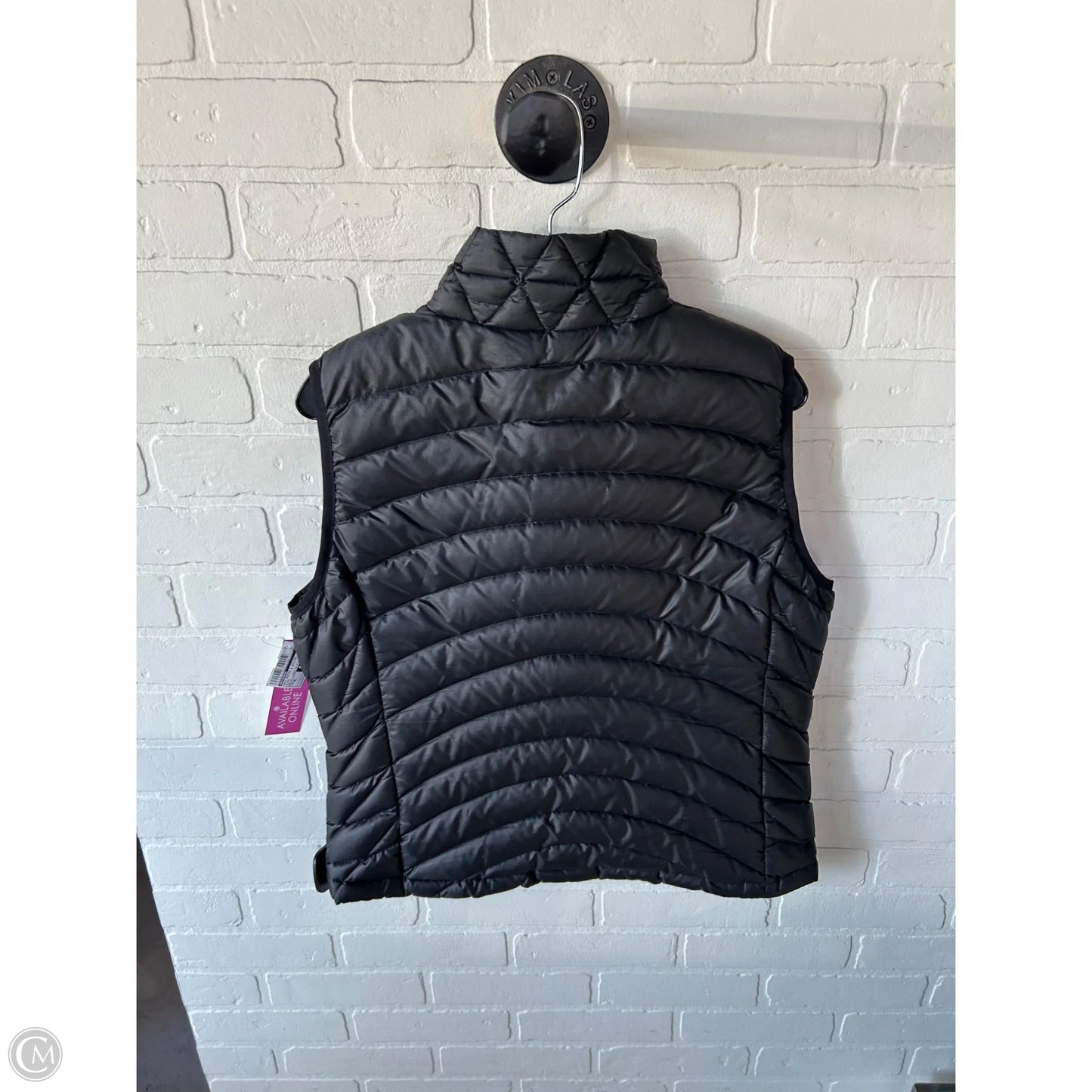 Vest Puffer & Quilted By Patagonia In Black, Size: Xl