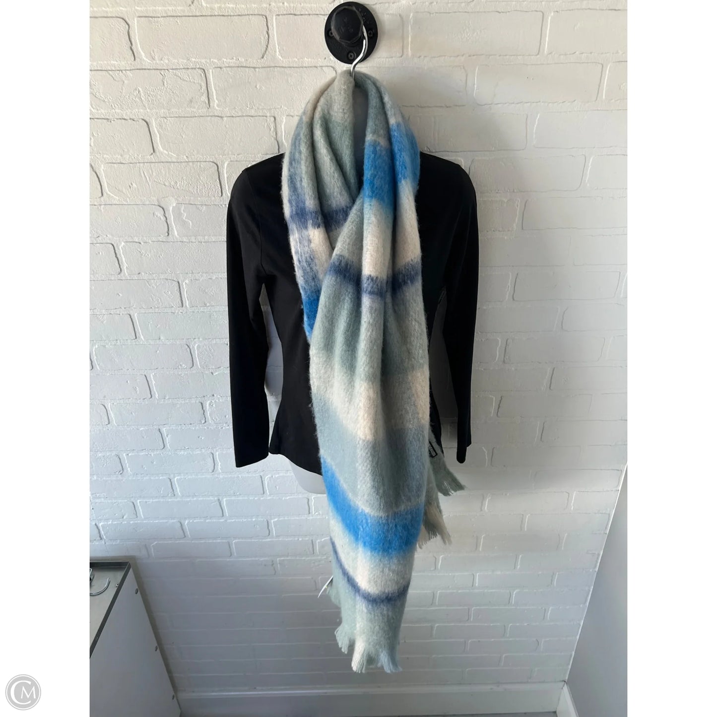 Scarf Winter By Steve Madden In Blue & Cream