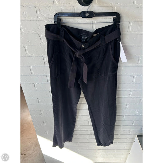 Pants Cargo & Utility By Sanctuary In Grey, Size: 14