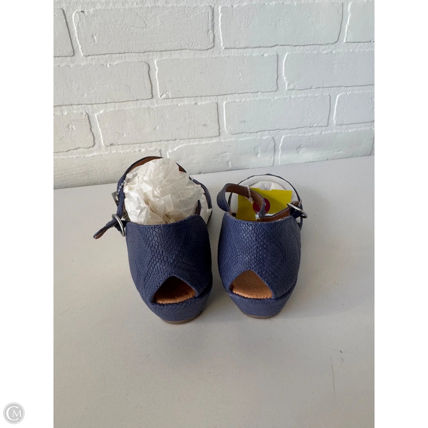 Sandals Flats By Gentle Souls In Blue, Size: 7