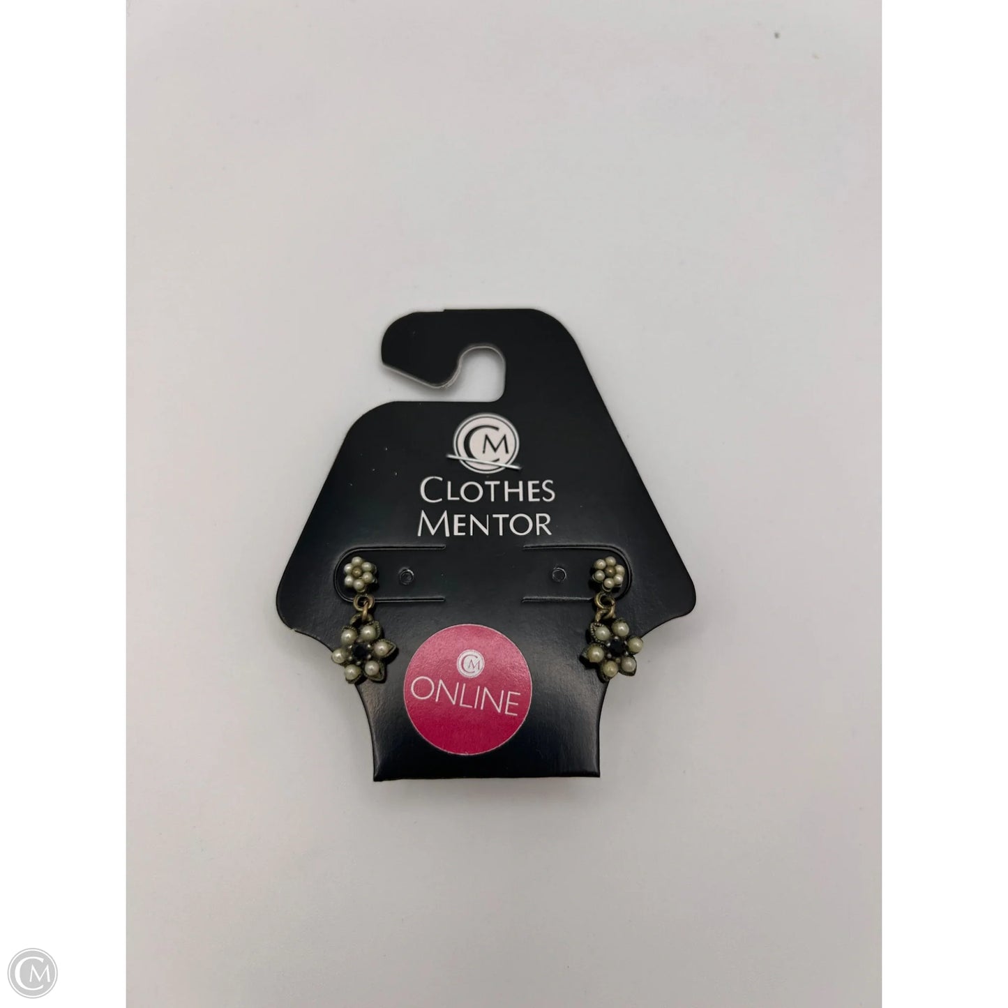 Earrings Dangle/drop By Clothes Mentor