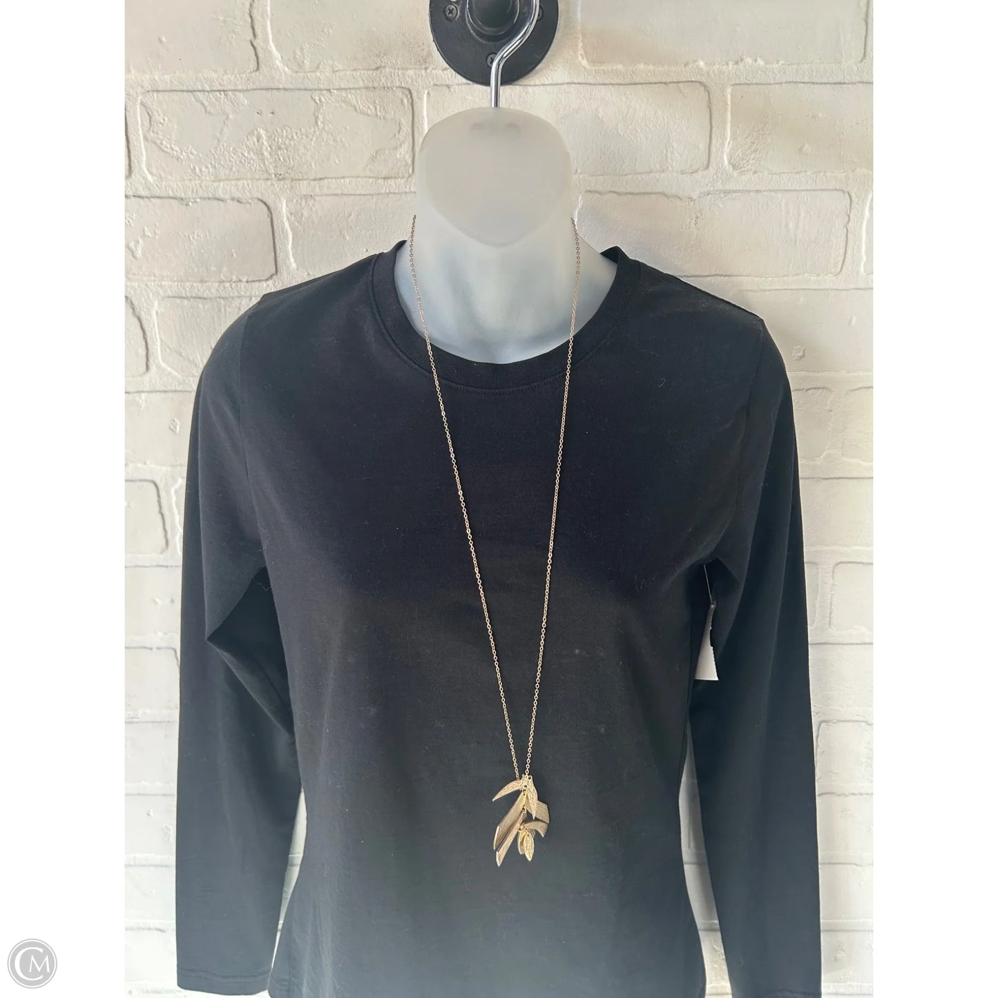 Necklace Pendant By Clothes Mentor