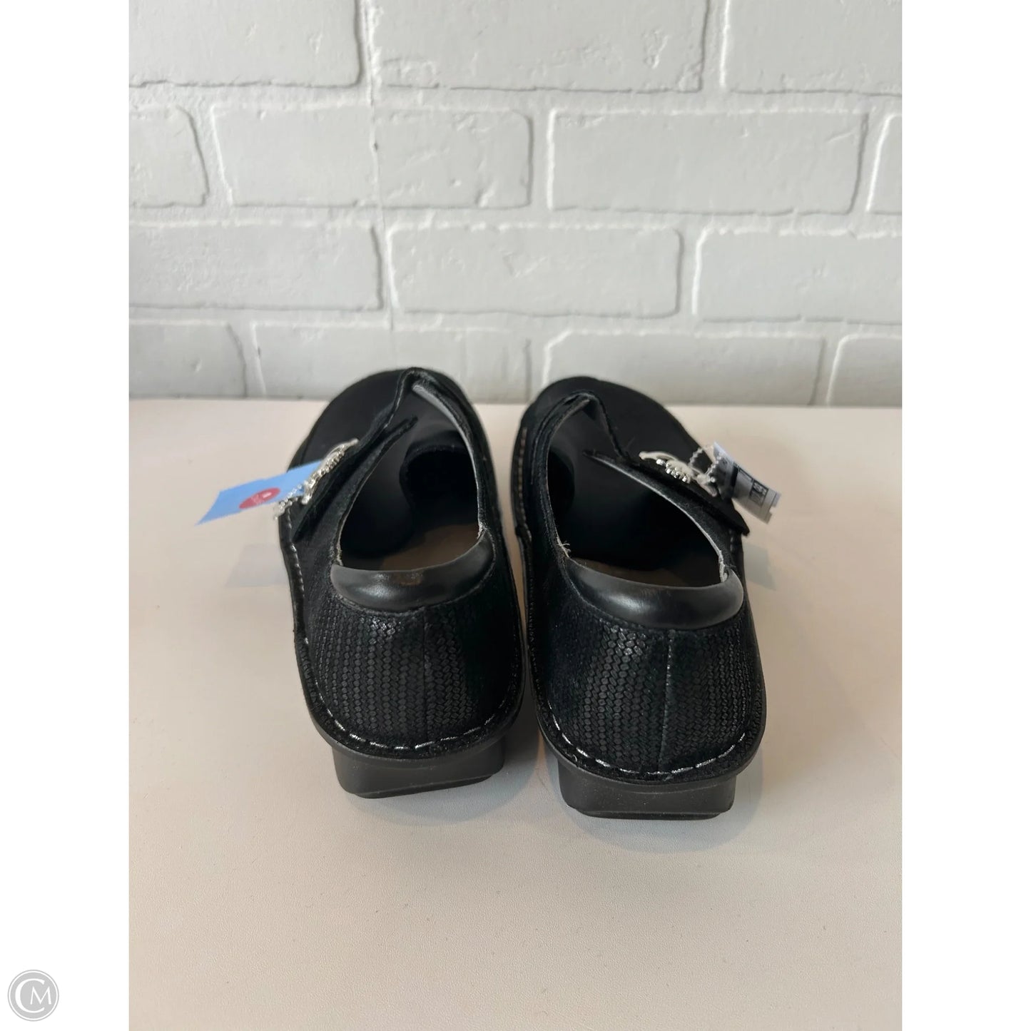 Shoes Flats By Alegria In Black, Size: 7.5