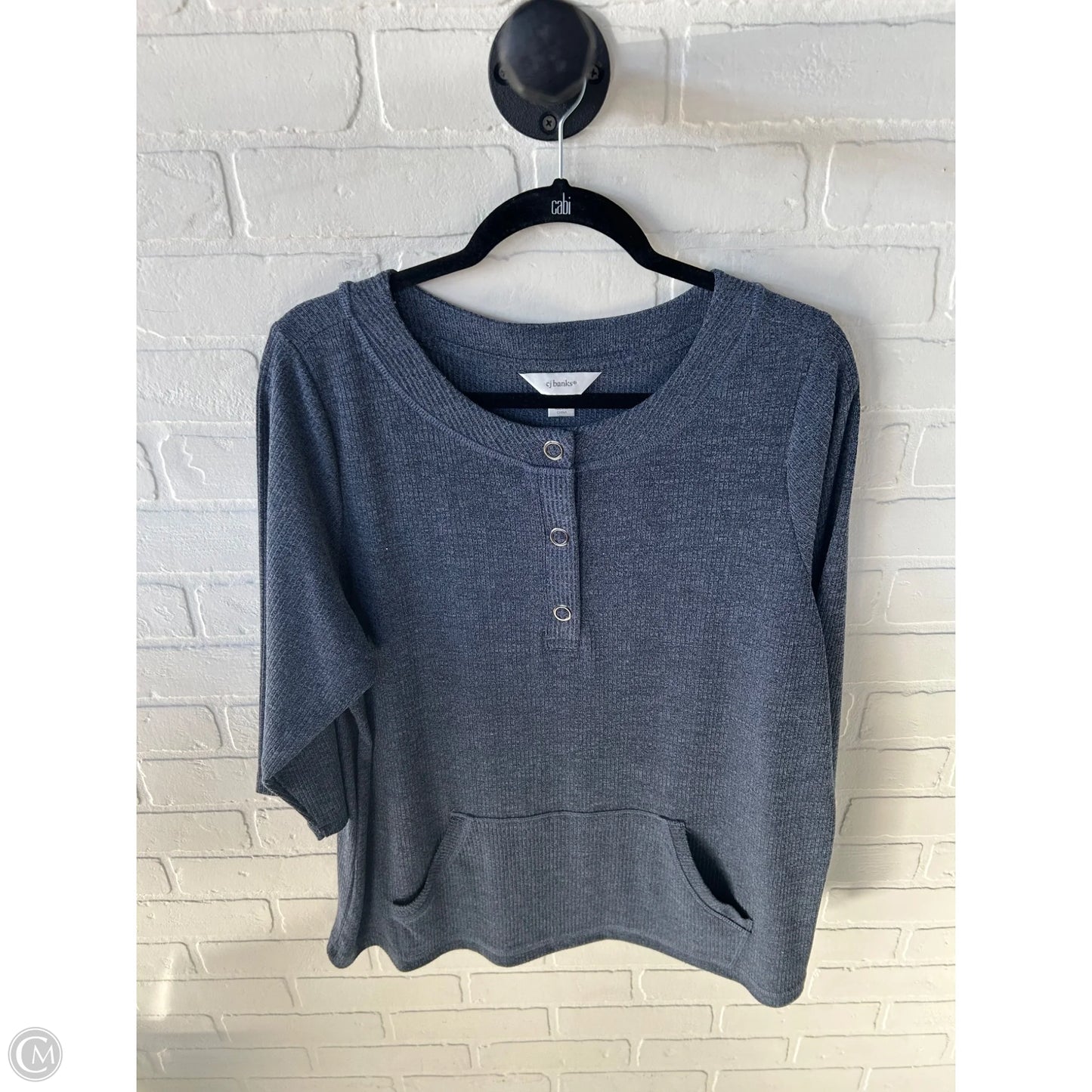 Top 3/4 Sleeve By Cj Banks In Blue, Size: 1x