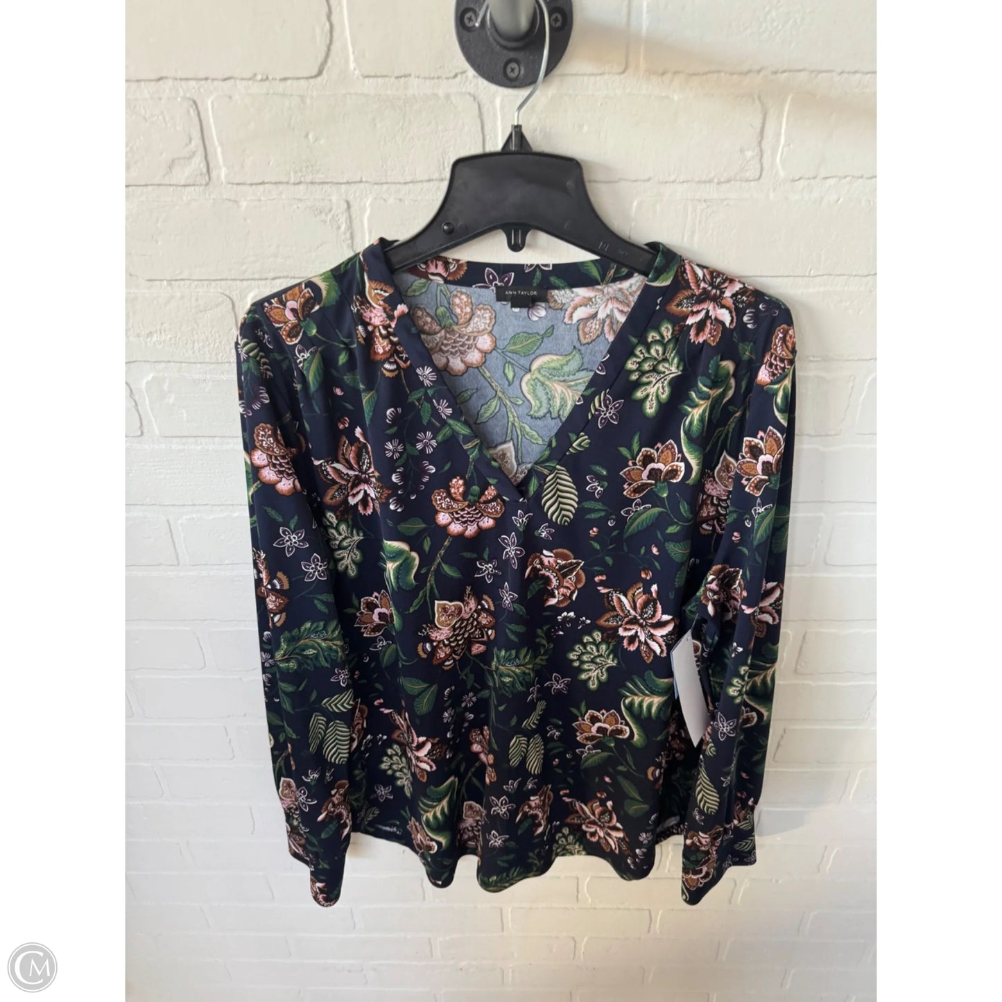Blouse Long Sleeve By Ann Taylor In Blue & Brown, Size: Xl