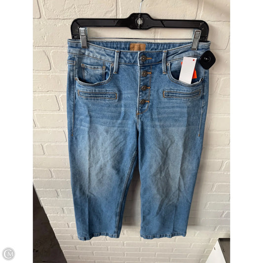 Jeans Wide Leg By Driftwood In Blue Denim, Size: 6