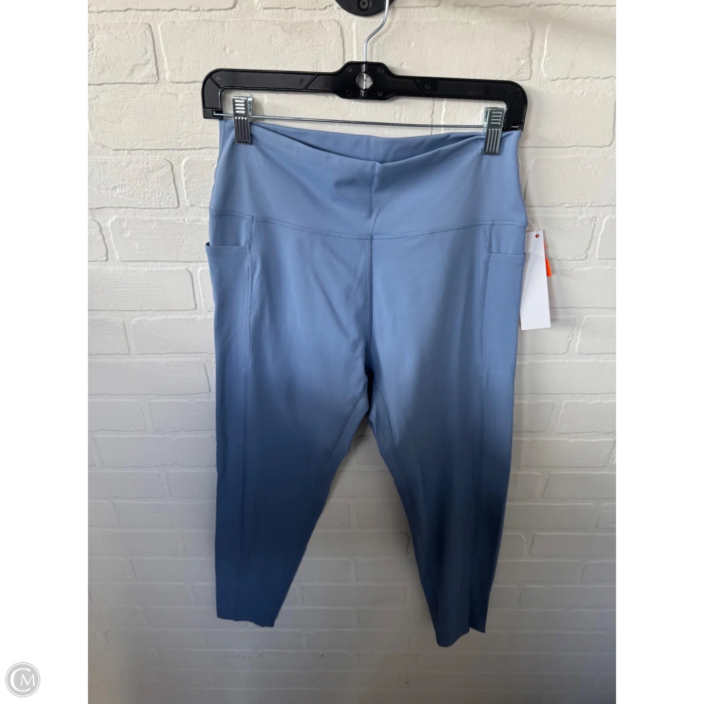 Athletic Leggings By Danskin In Blue, Size: 16