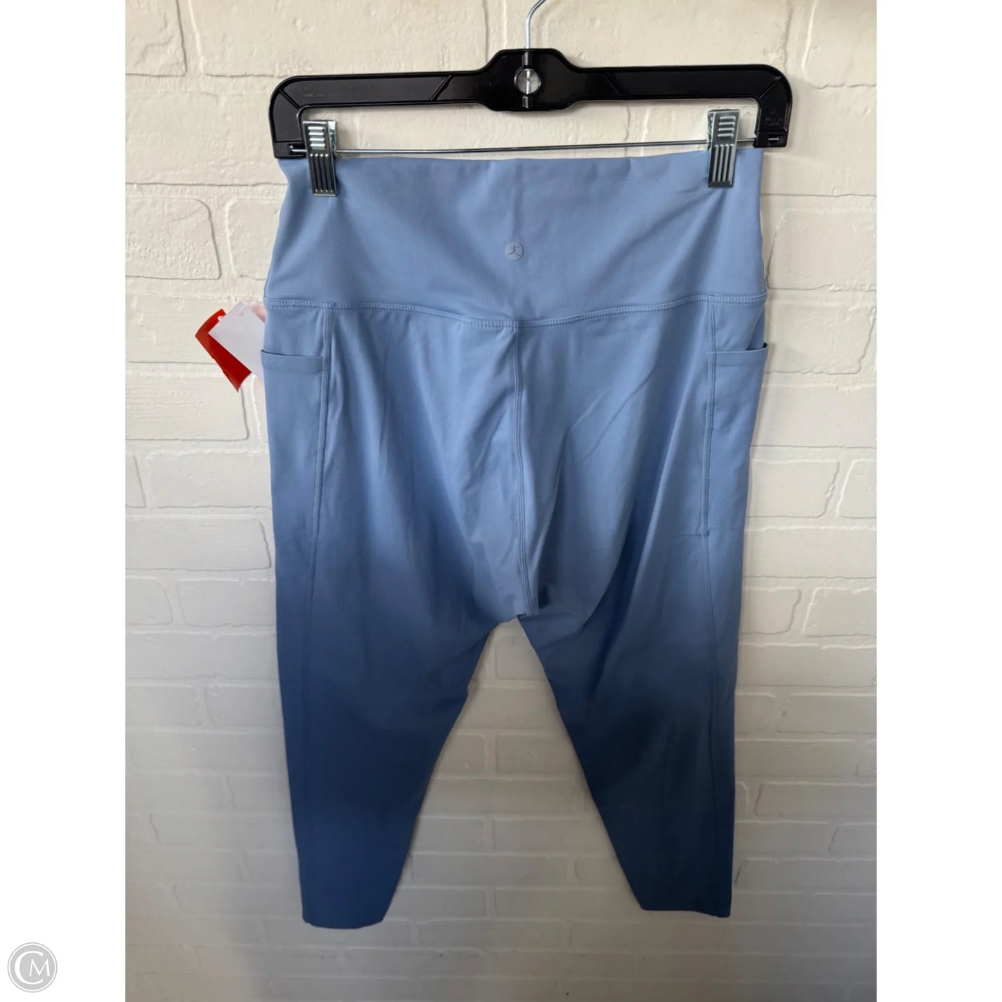 Athletic Leggings By Danskin In Blue, Size: 16