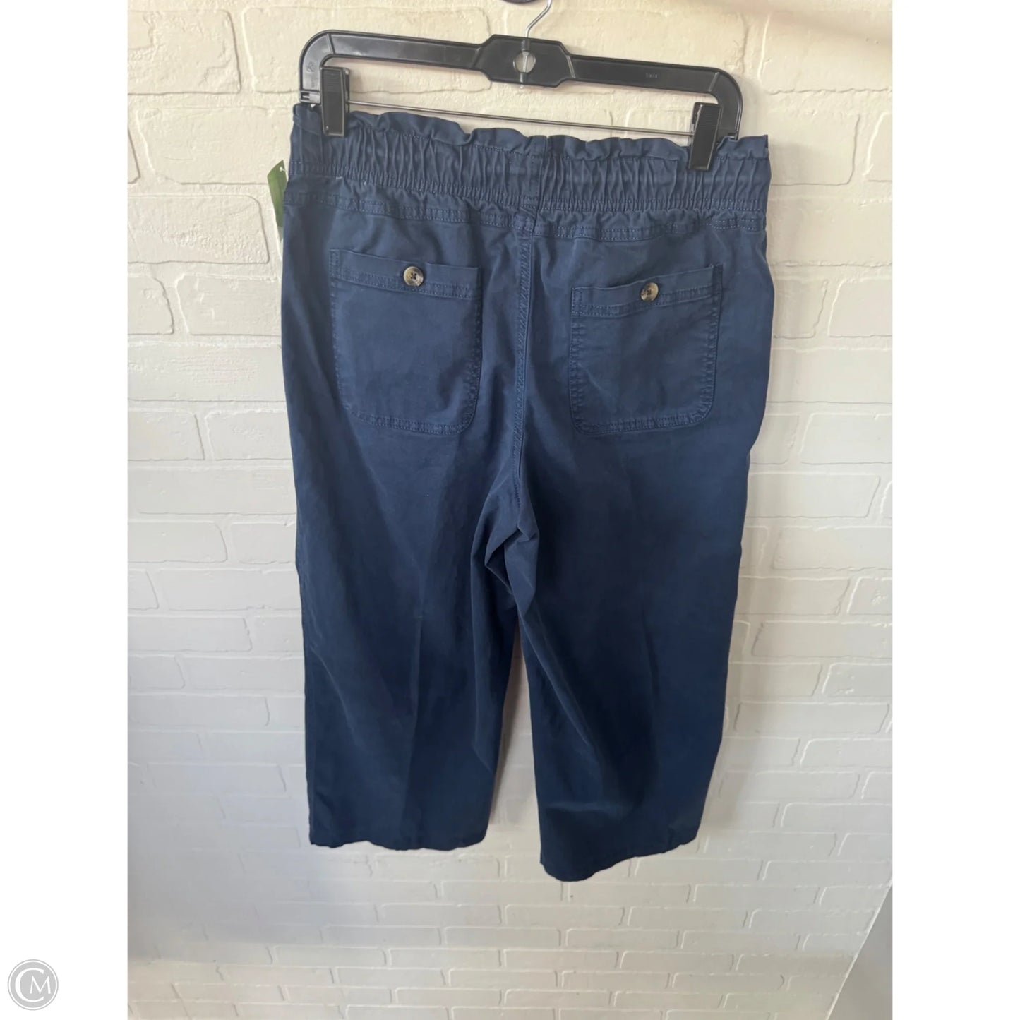 Pants Wide Leg By Sonoma In Blue, Size: 8