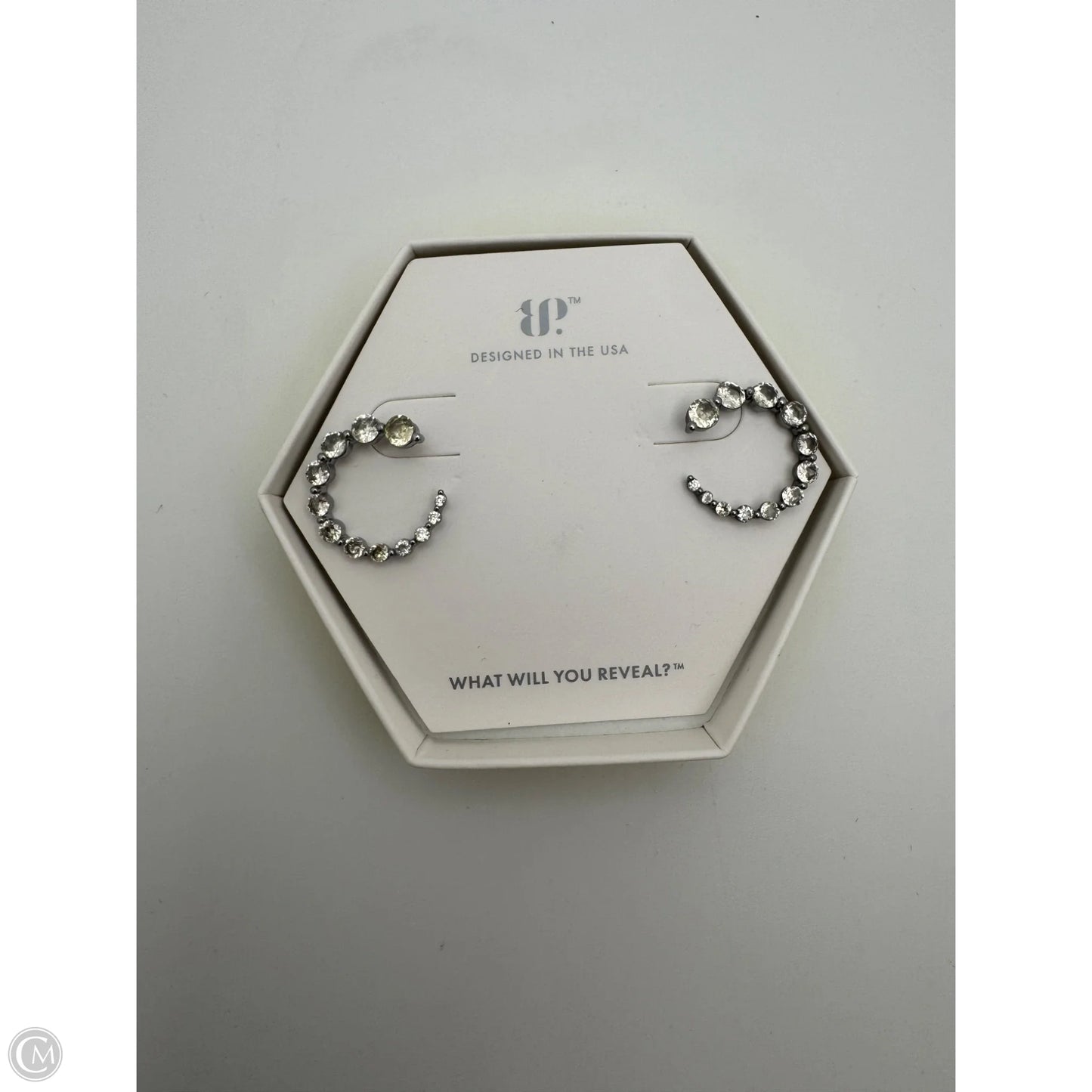 Earrings Hoop By Bp