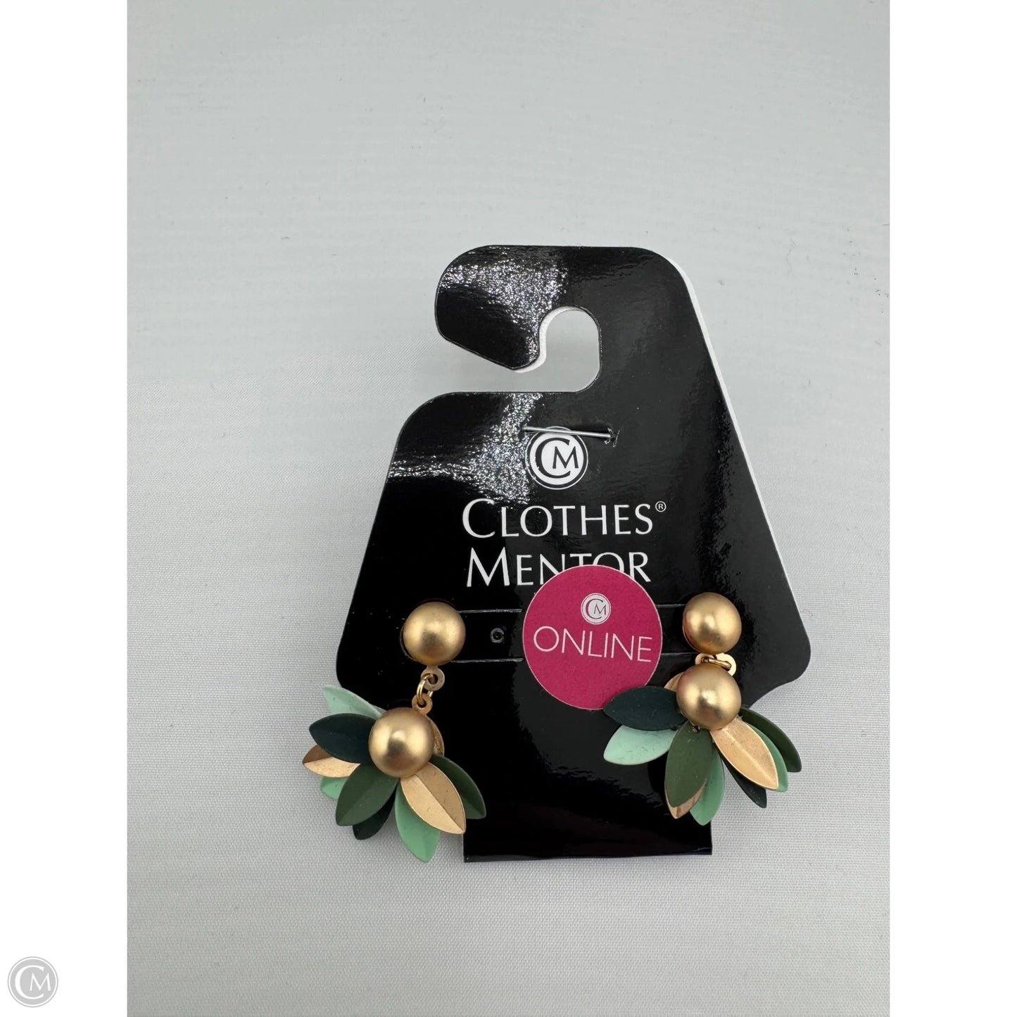 Earrings Dangle/drop By Clothes Mentor