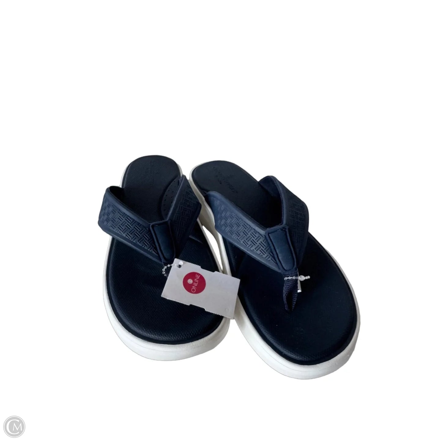 Sandals Flip Flops By Clarks In Blue & White, Size: 10