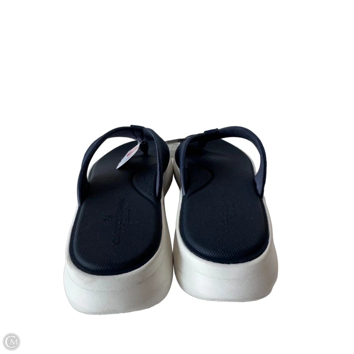 Sandals Flip Flops By Clarks In Blue & White, Size: 10