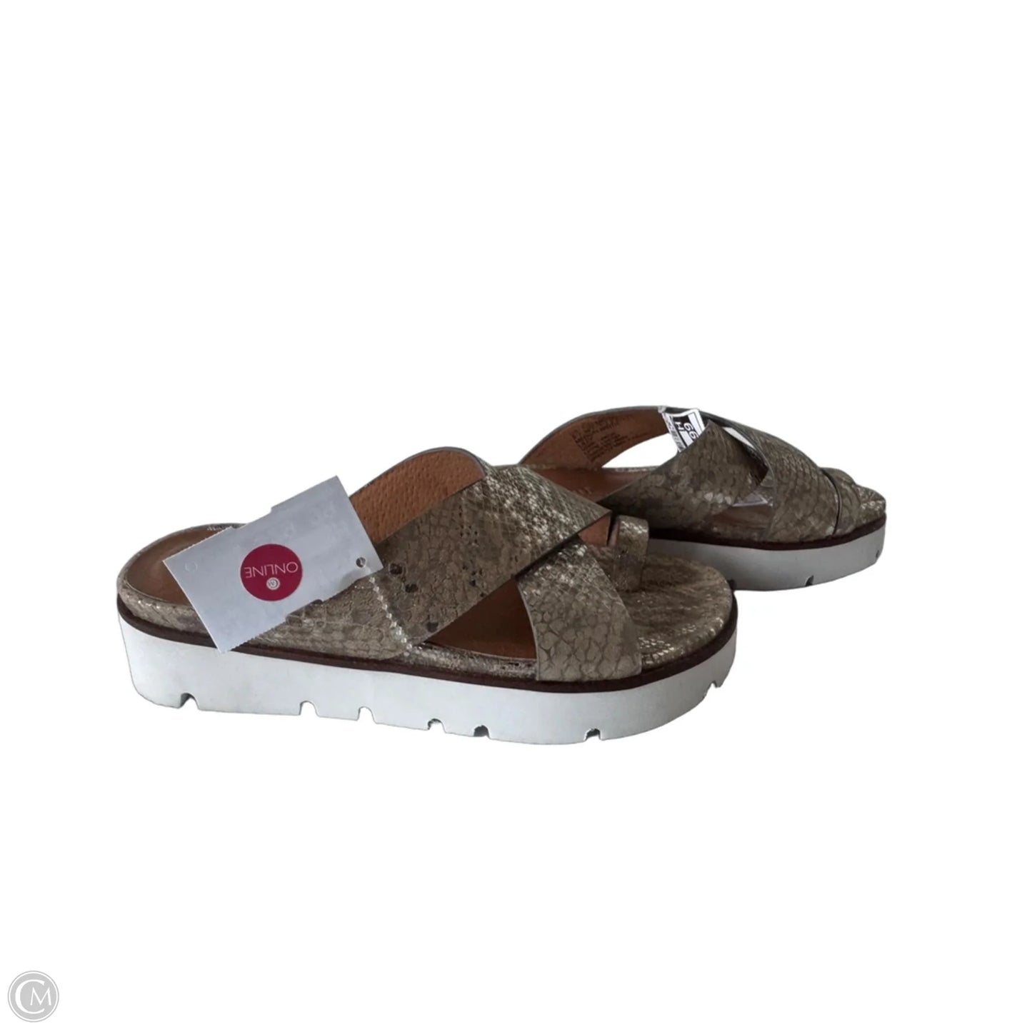 Sandals Flats By Gentle Souls In Snakeskin Print, Size: 6