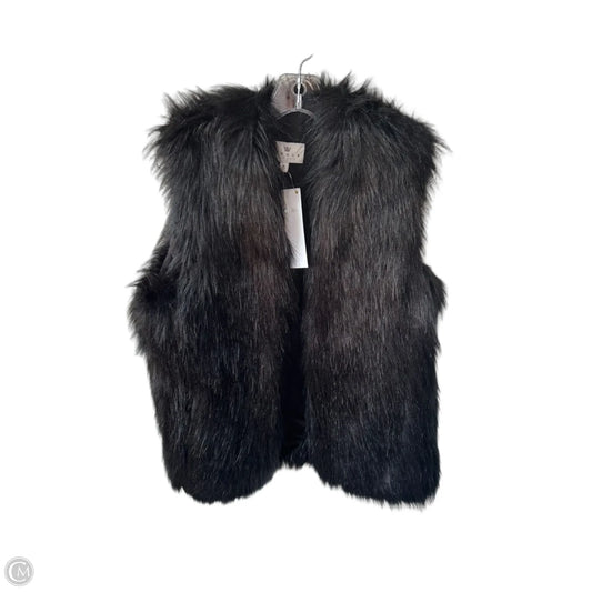 Vest Faux Fur & Sherpa By Chaus In Black, Size: M