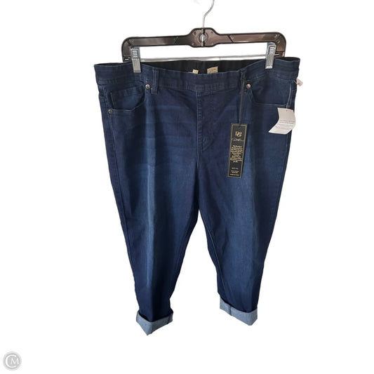 Jeans Jeggings By Dg2 In Blue Denim, Size: 16