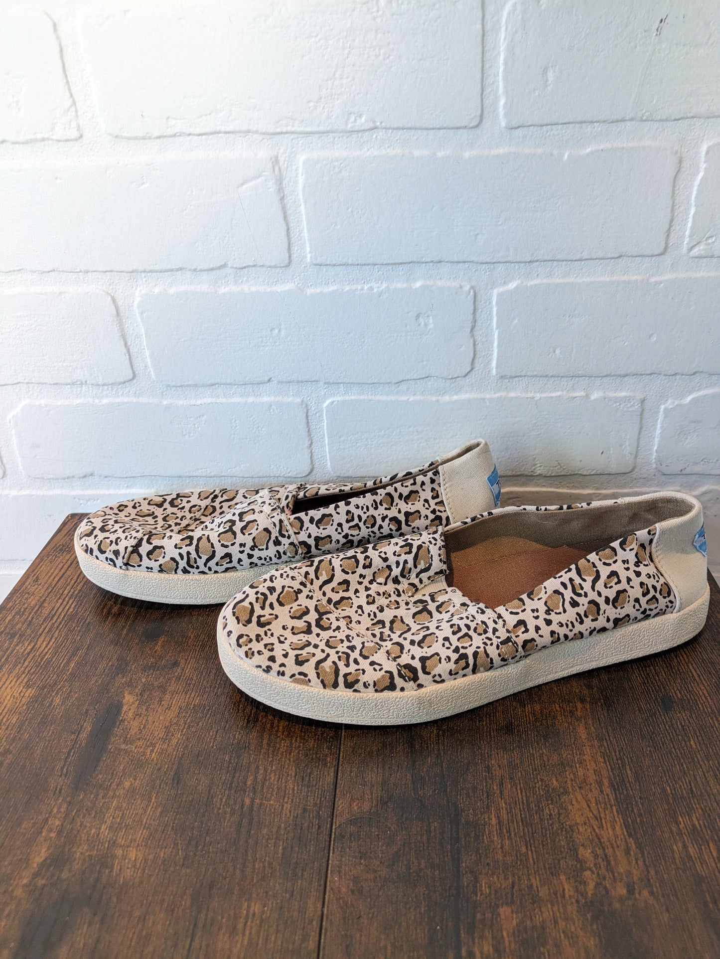 Animal Print Shoes Flats Toms, Size 6.5