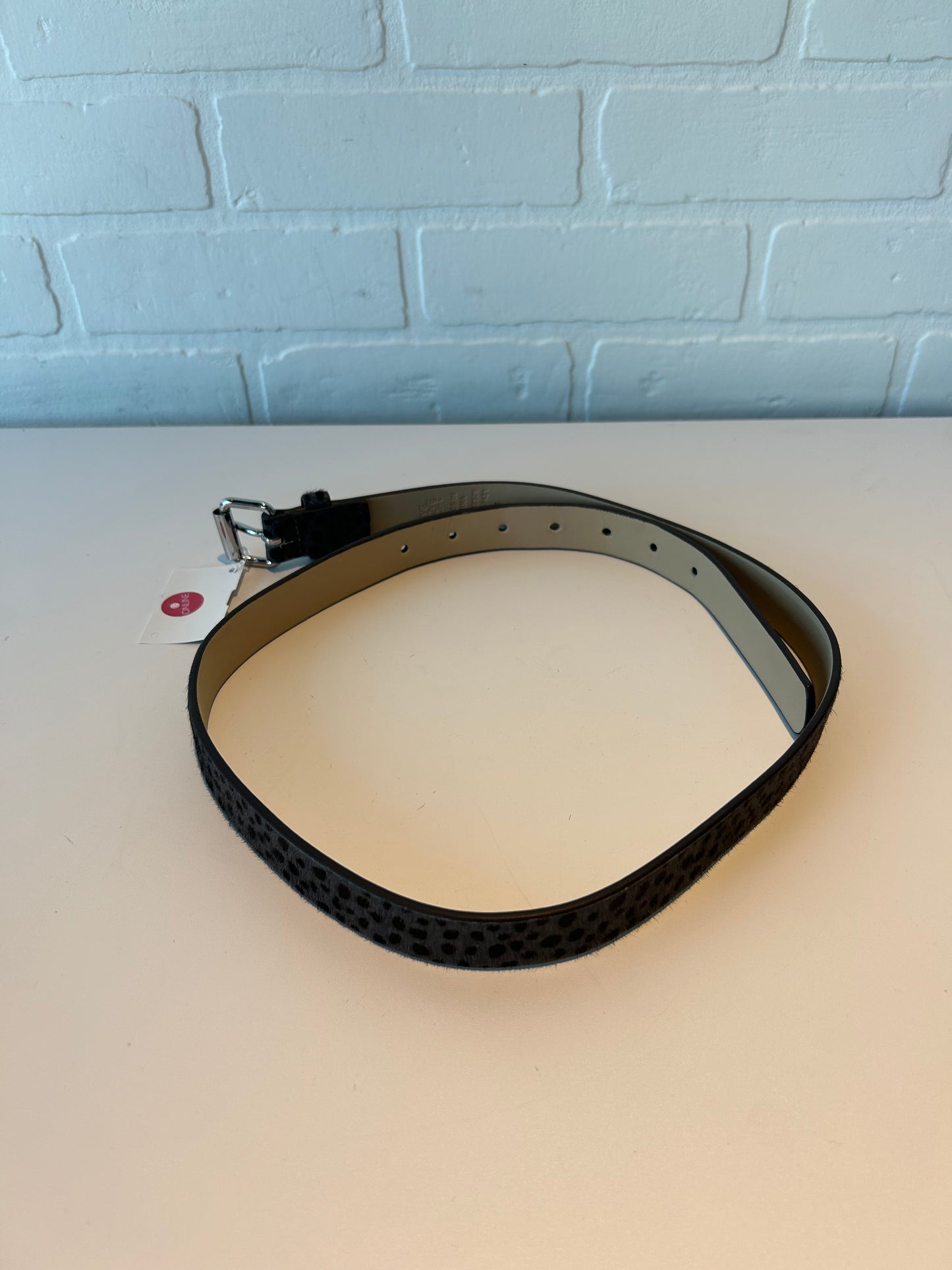 Belt By Loft