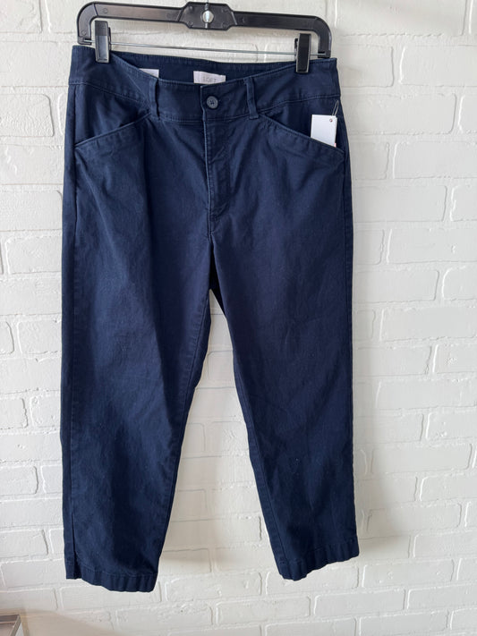 Pants Other By Loft In Blue, Size: 6p