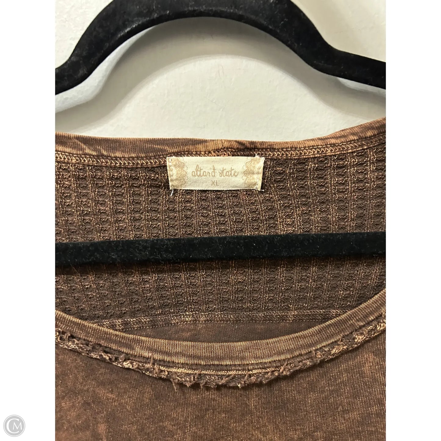 Top Long Sleeve By Altard State In Brown, Size: Xl