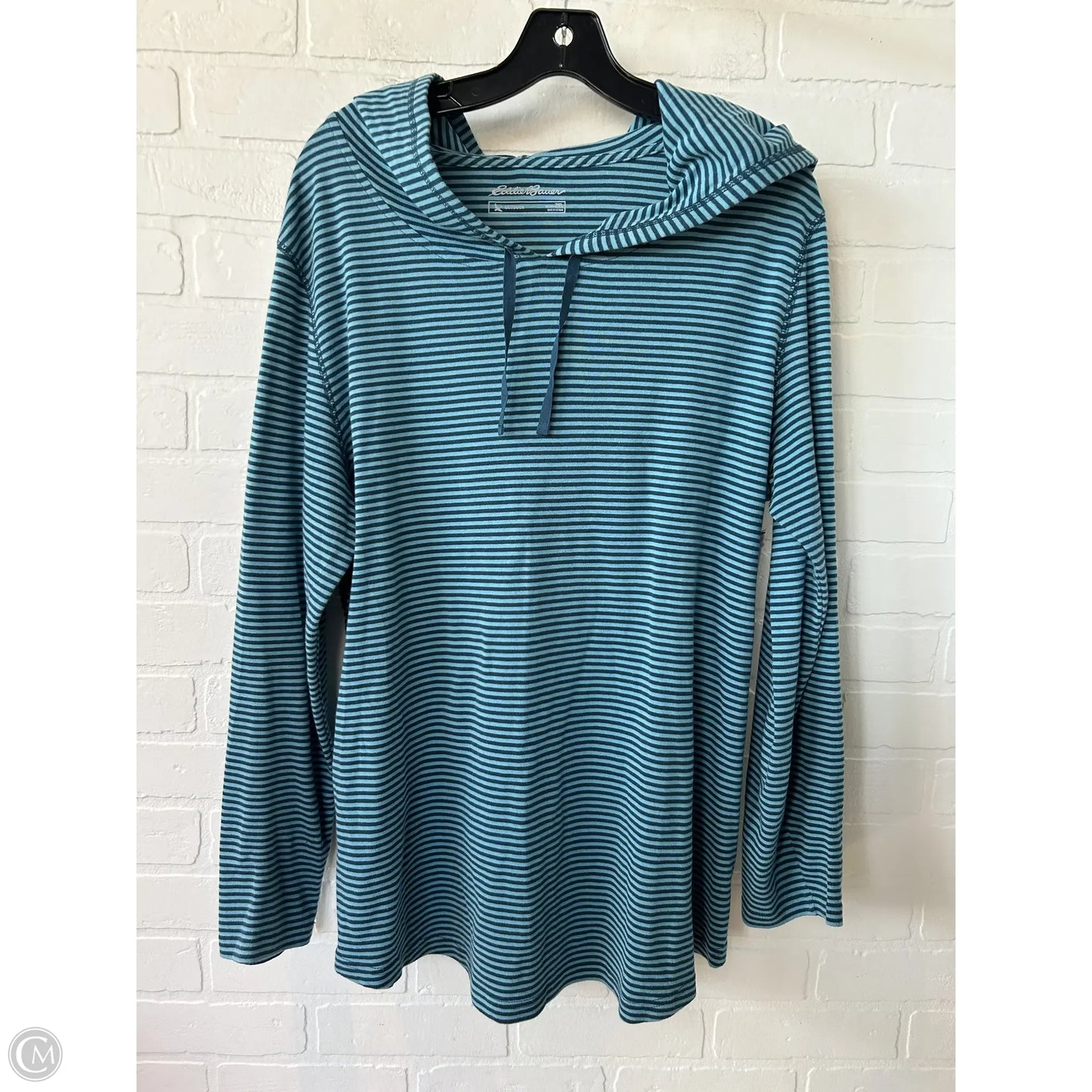 Top Long Sleeve By Eddie Bauer In Blue, Size: 2x