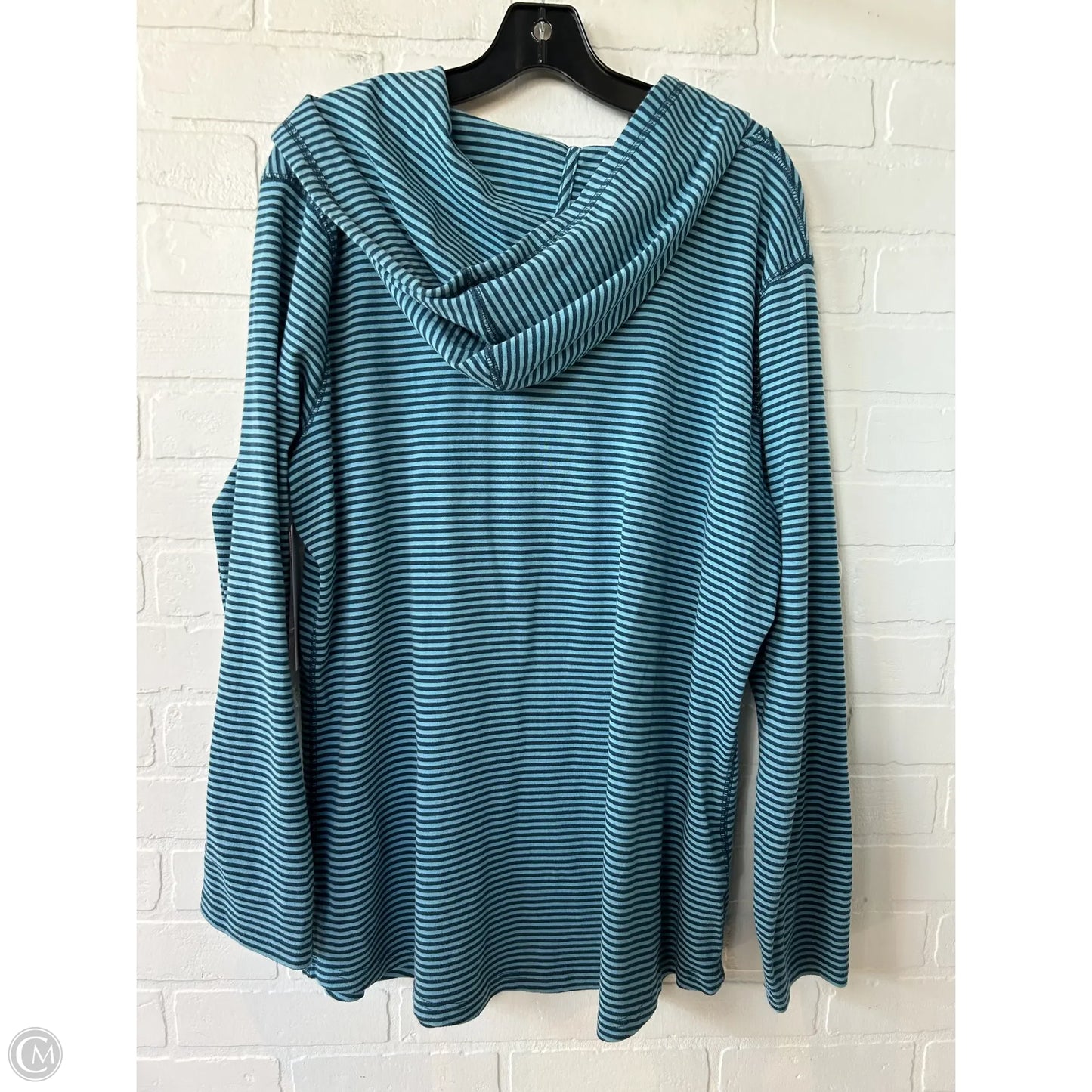 Top Long Sleeve By Eddie Bauer In Blue, Size: 2x