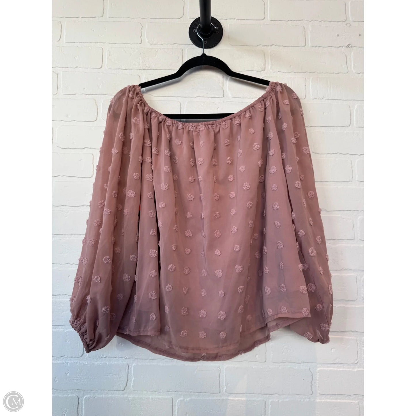 Top Long Sleeve By MISS SPARKLING In Pink, Size: S