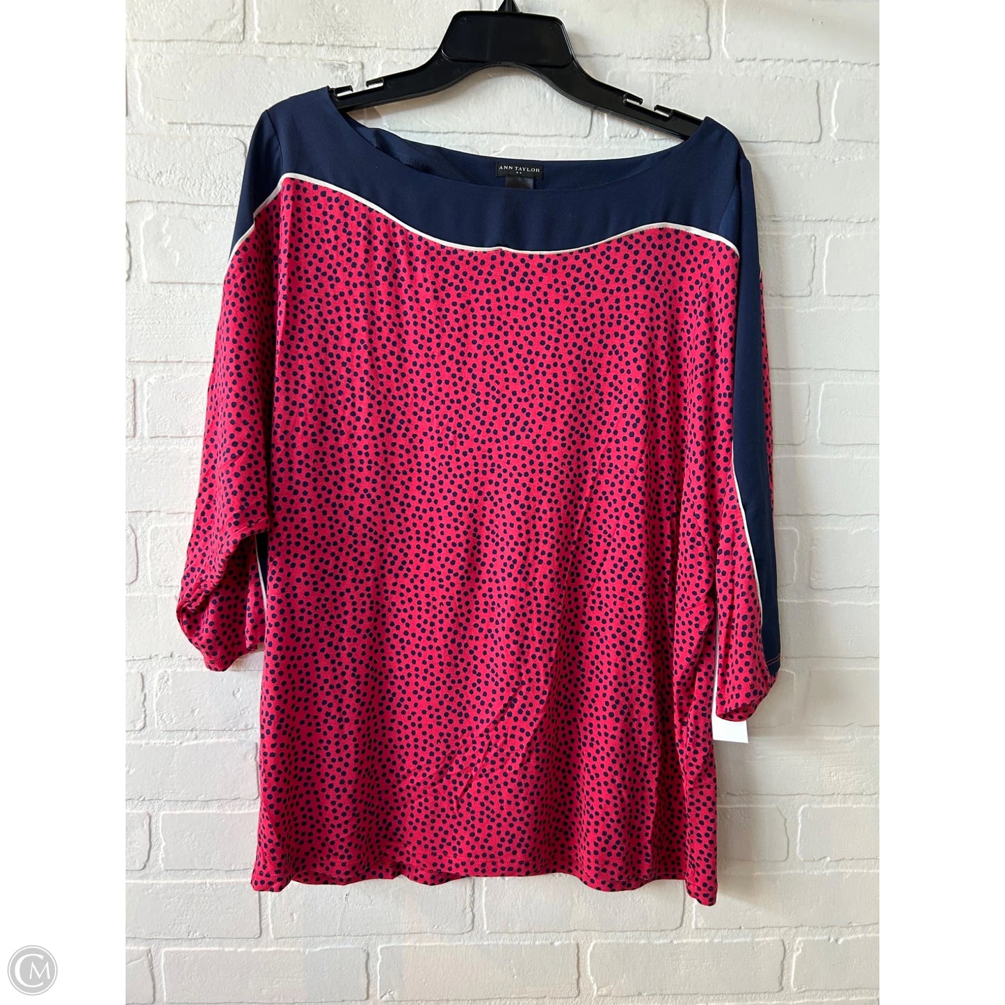 Top Long Sleeve By Ann Taylor In Blue & Pink, Size: Xl