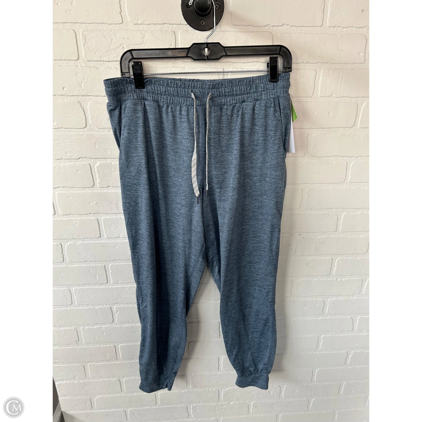 Athletic Pants By Kirkland In Blue, Size: 8