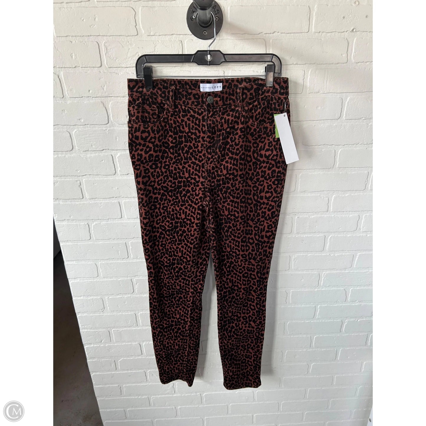 Pants Corduroy By Loft In Animal Print, Size: 8