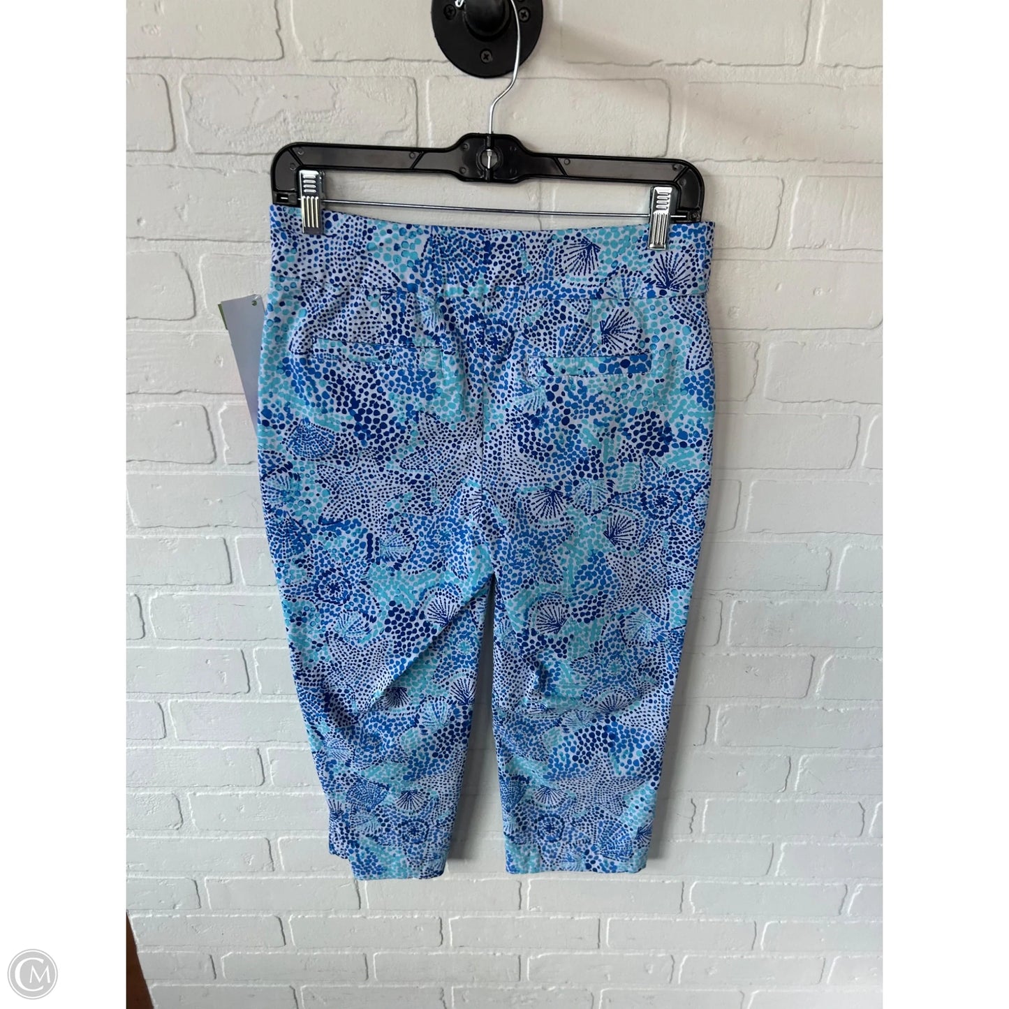 Capris By Kim Rogers In Blue & White, Size: 6