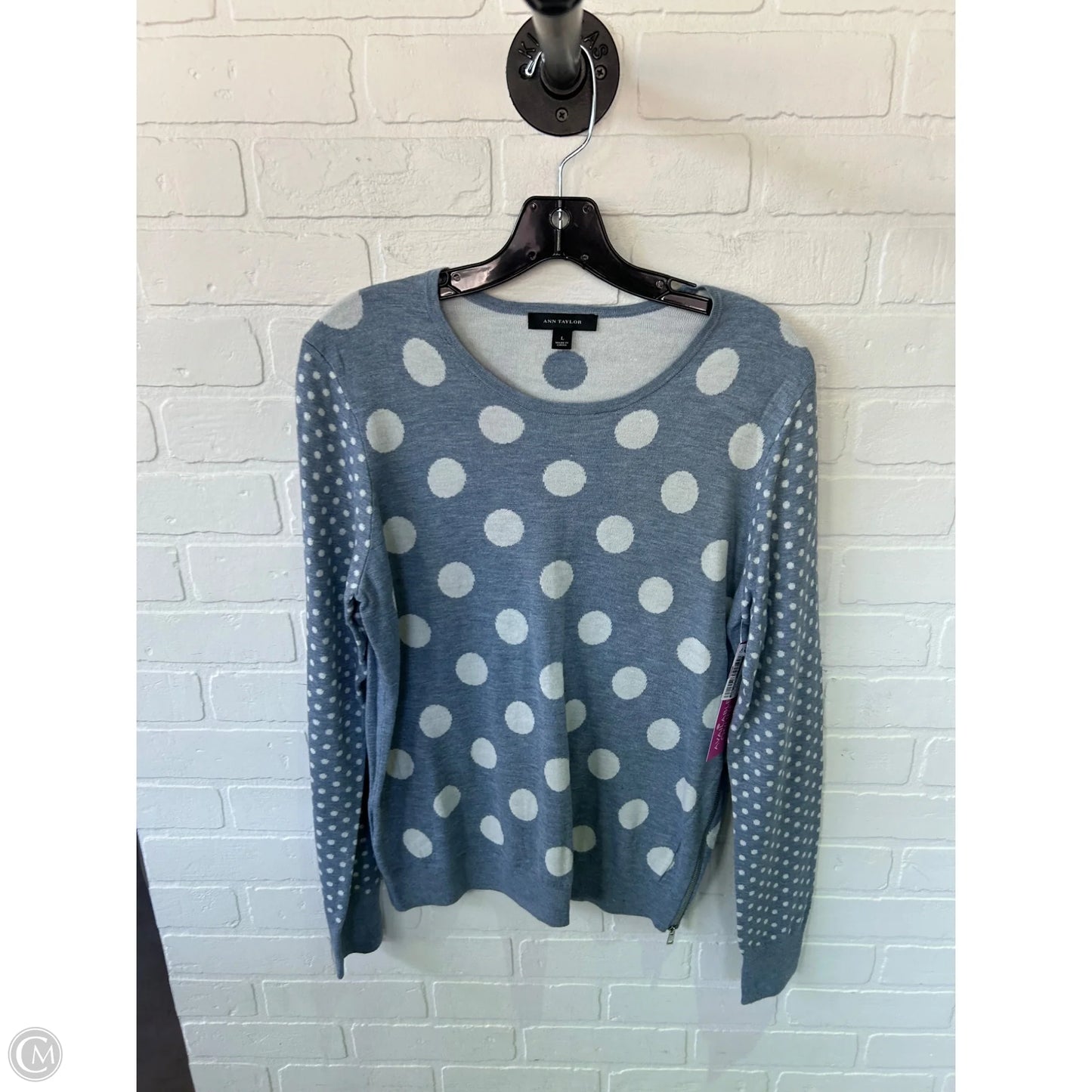 Sweater By Ann Taylor In Blue & White, Size: L
