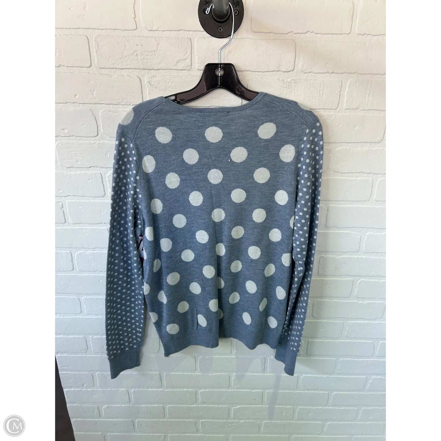 Sweater By Ann Taylor In Blue & White, Size: L