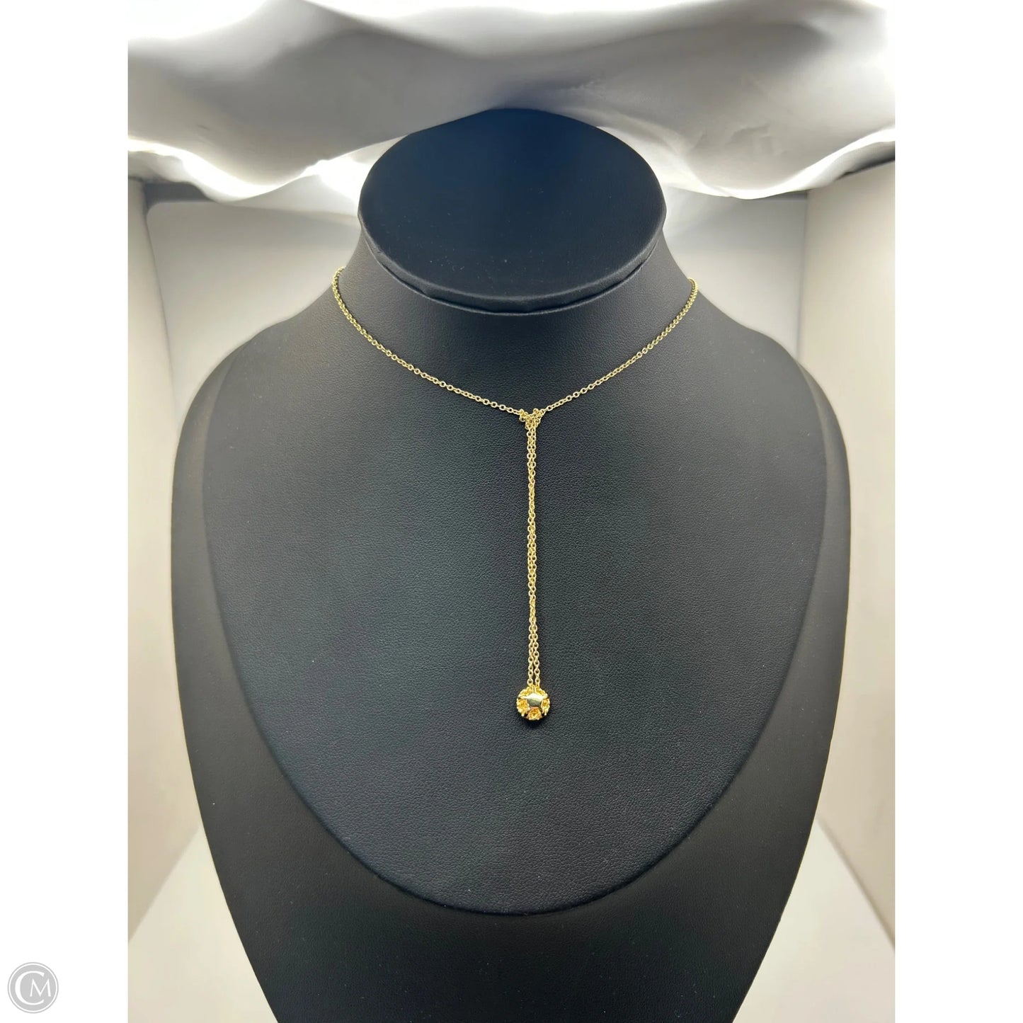 Necklace Chain By Clothes Mentor