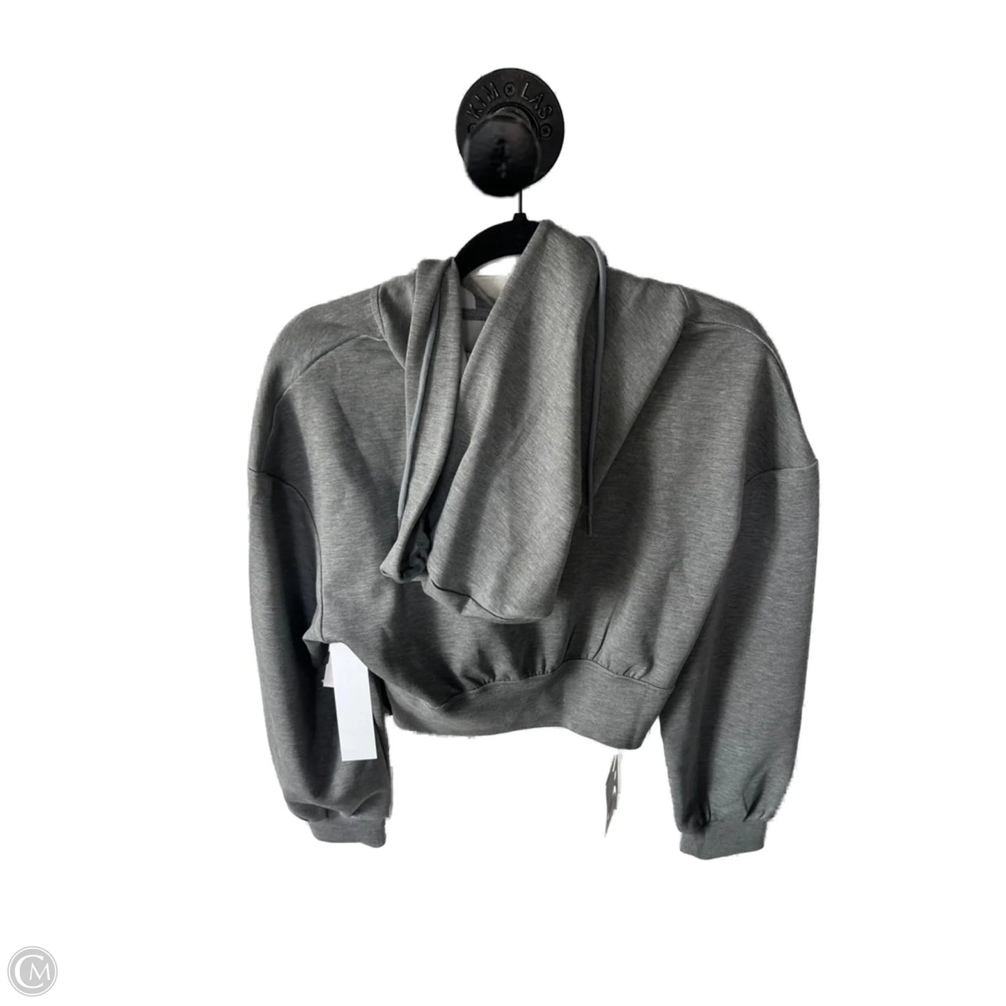 Sweatshirt Hoodie By Clothes Mentor In Grey, Size: L
