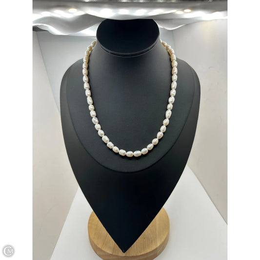 Necklace Chain By Ann Taylor