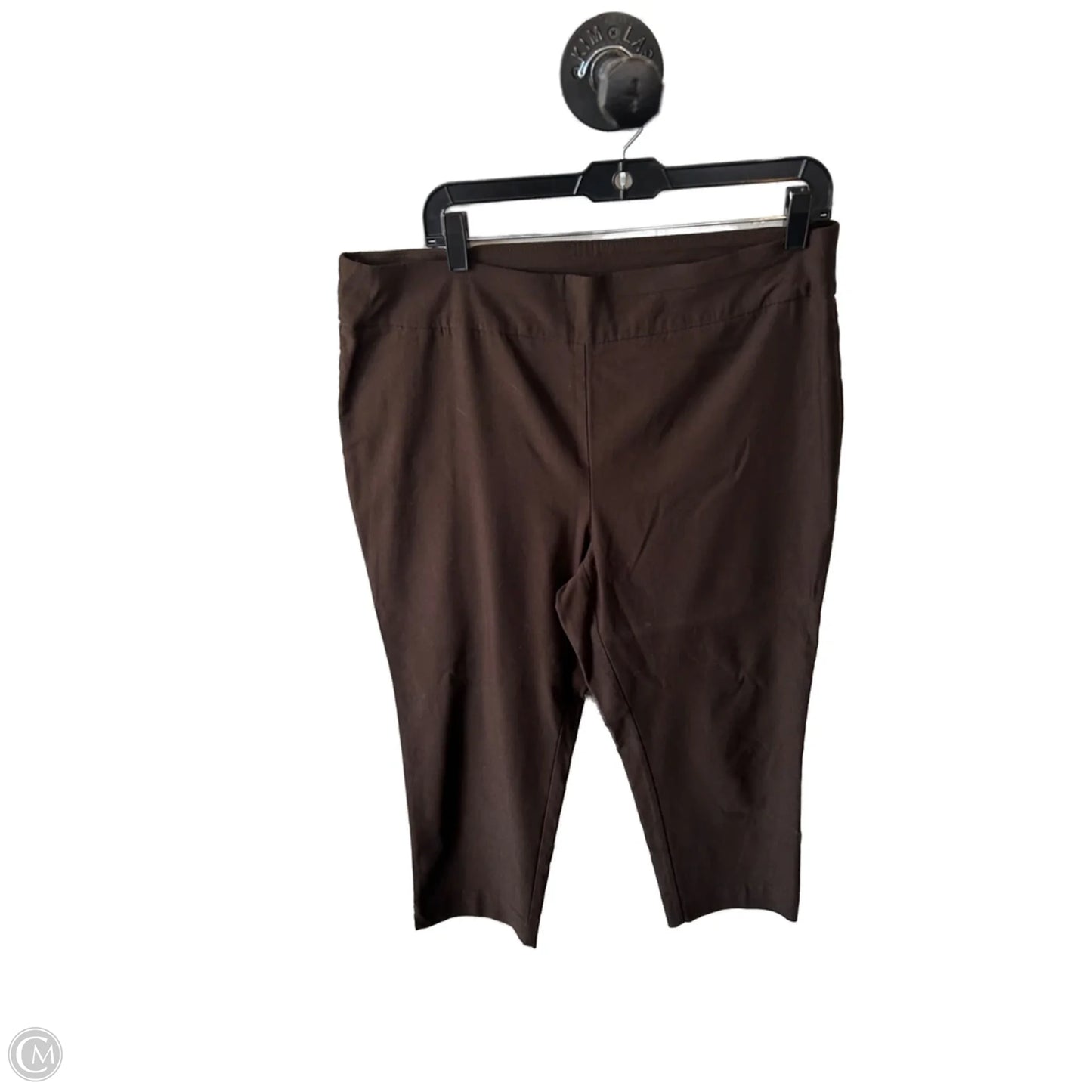 Pants Other By Chicos In Brown, Size: 14