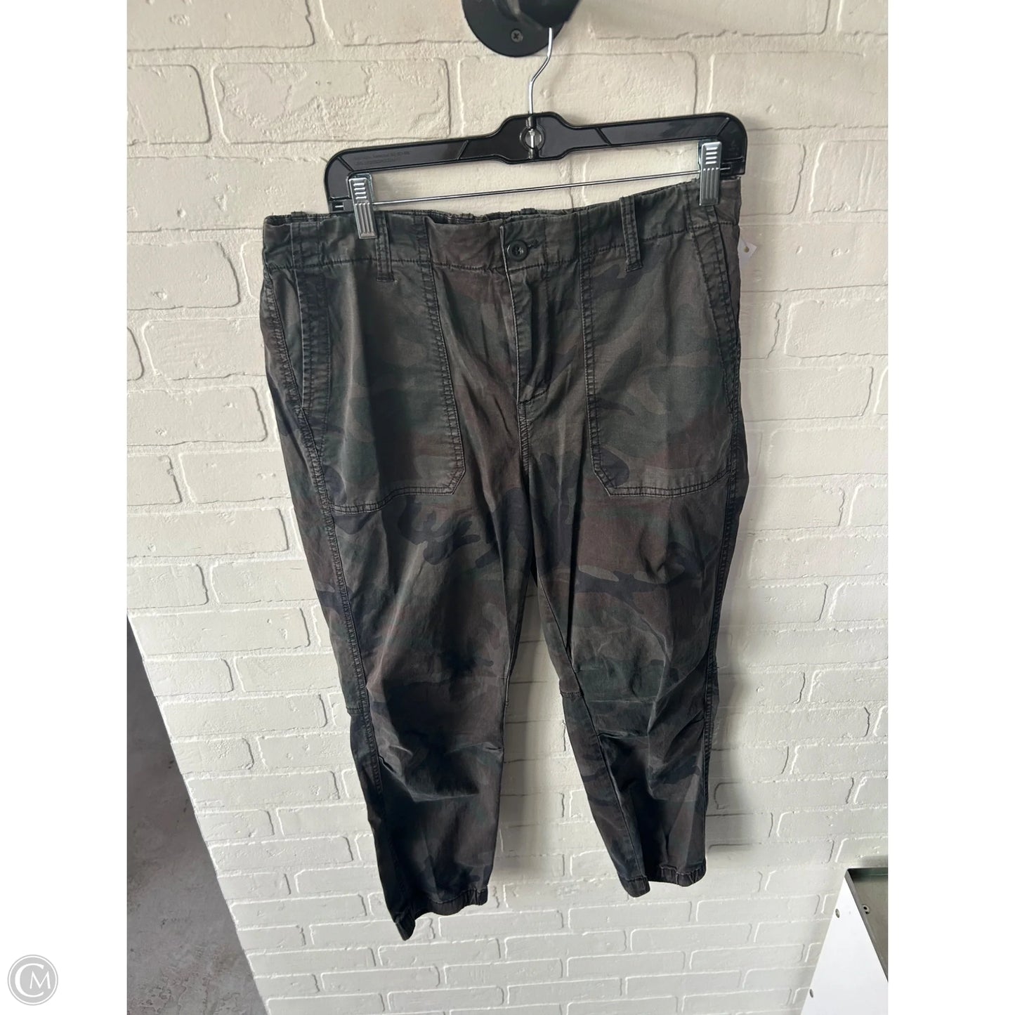 Pants Joggers By Chicos In Green, Size: 10