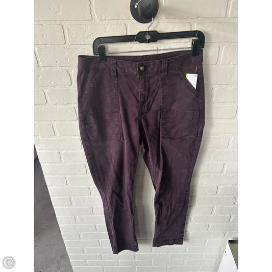 Pants Chinos & Khakis By Cabi In Purple, Size: 12